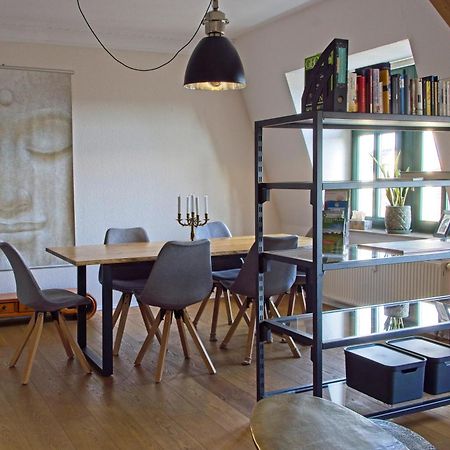 Neustadt-Aussicht - Grosse Wohnung Mit Balkon ドレスデン エクステリア 写真