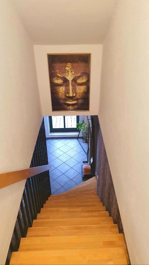 Neustadt-Aussicht - Grosse Wohnung Mit Balkon ドレスデン エクステリア 写真