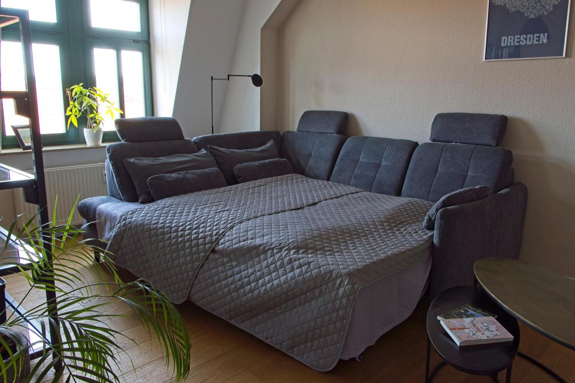 Neustadt-Aussicht - Grosse Wohnung Mit Balkon ドレスデン エクステリア 写真